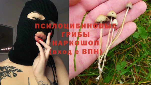 дмт Покров