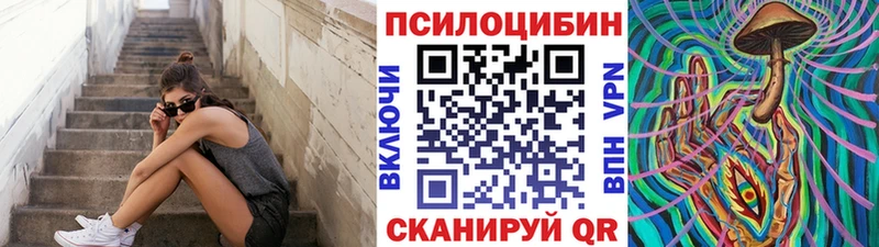 цена наркотик мега онион Псилоцибиновые грибы Psilocybe Талдом